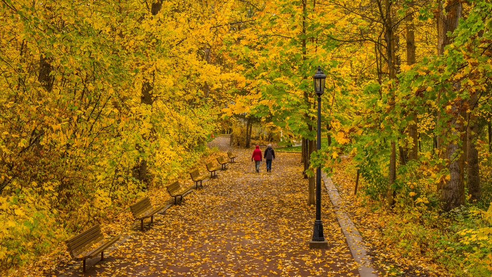 Two people walking in the Waterfront Park