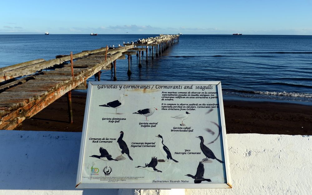 Waterfront Promenade
