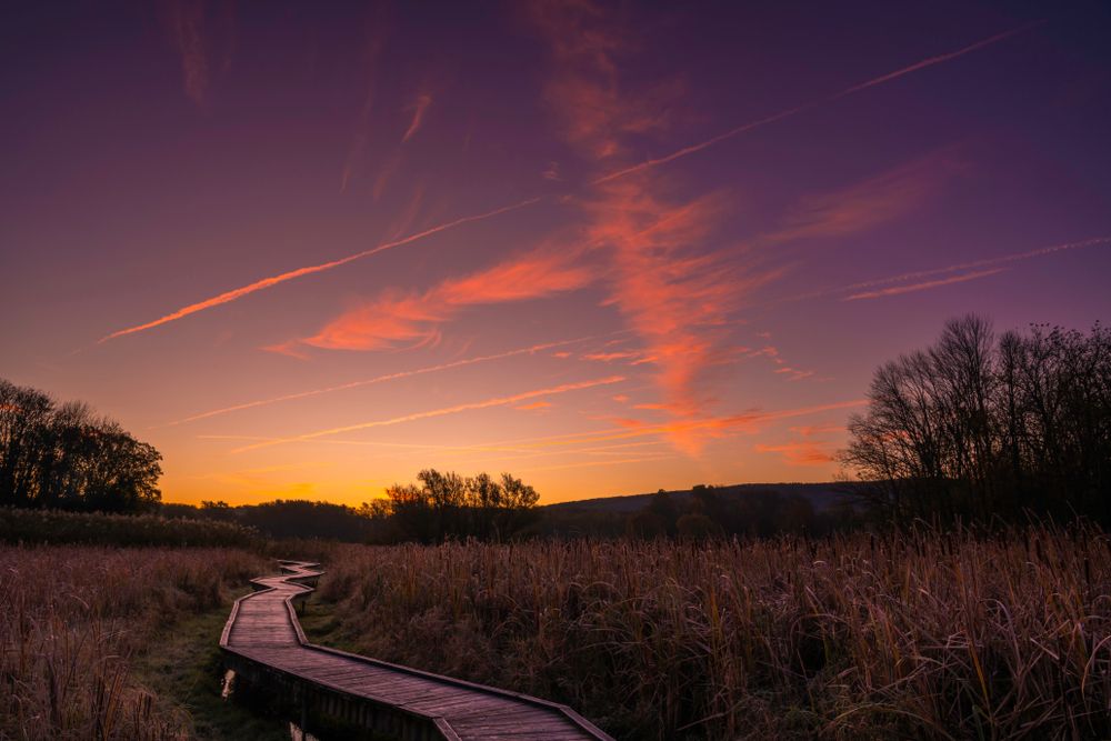 Vibrant sunrise at Wawayanda State Park