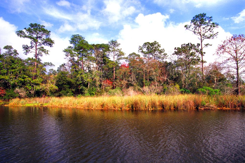 Weeks Bay National Estuarine Research Reserve