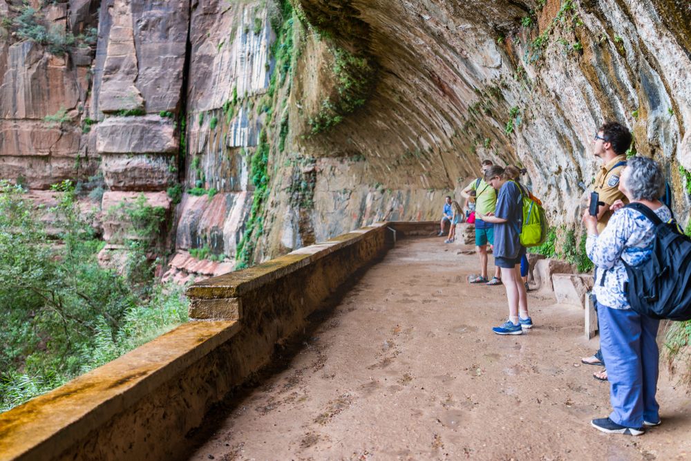People standing under the weeping rock