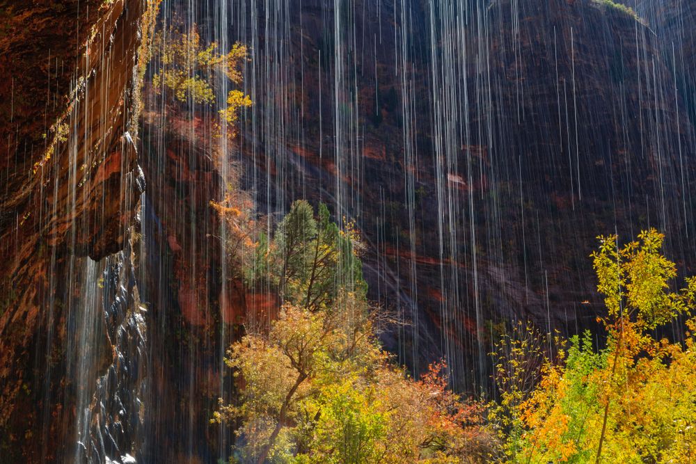 Weeping Rock in Zion National Park