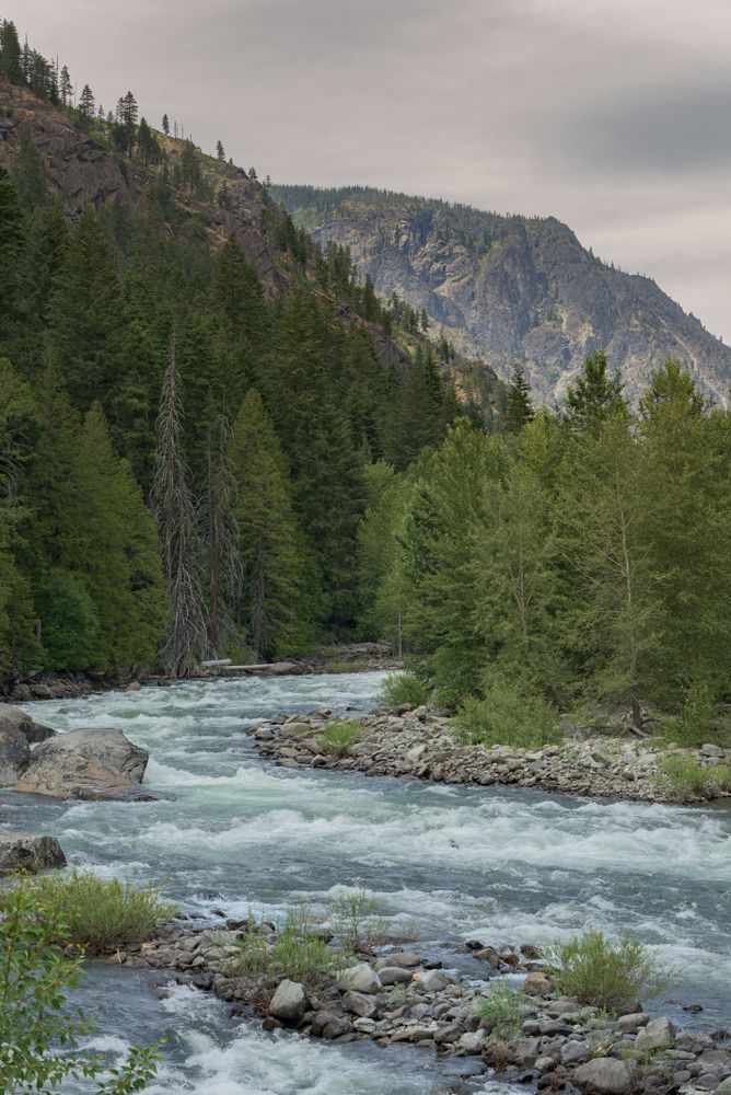 High tide water flowing in Wenatchee River