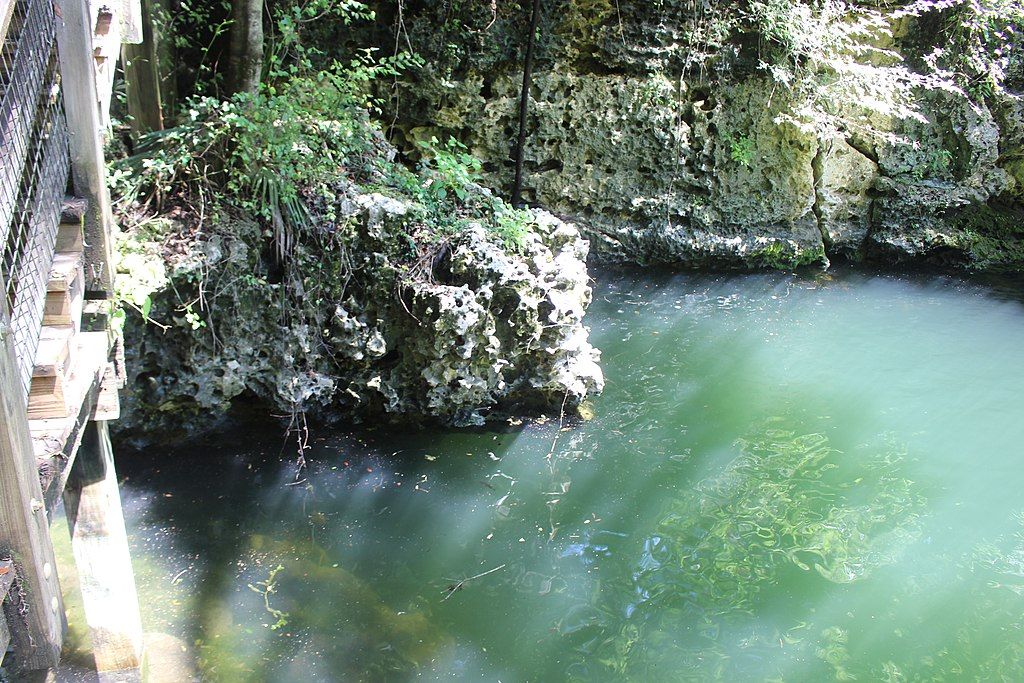 Water at Wes Skiles Peacock Springs State Park