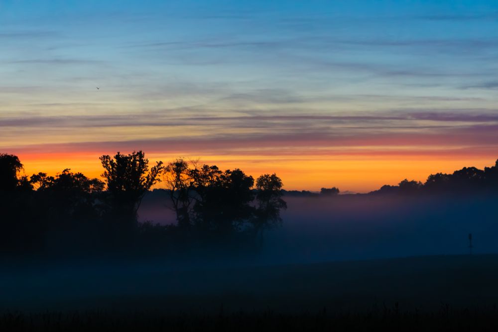 Colorful sunset on a foggy day at White Clay Creek State Park