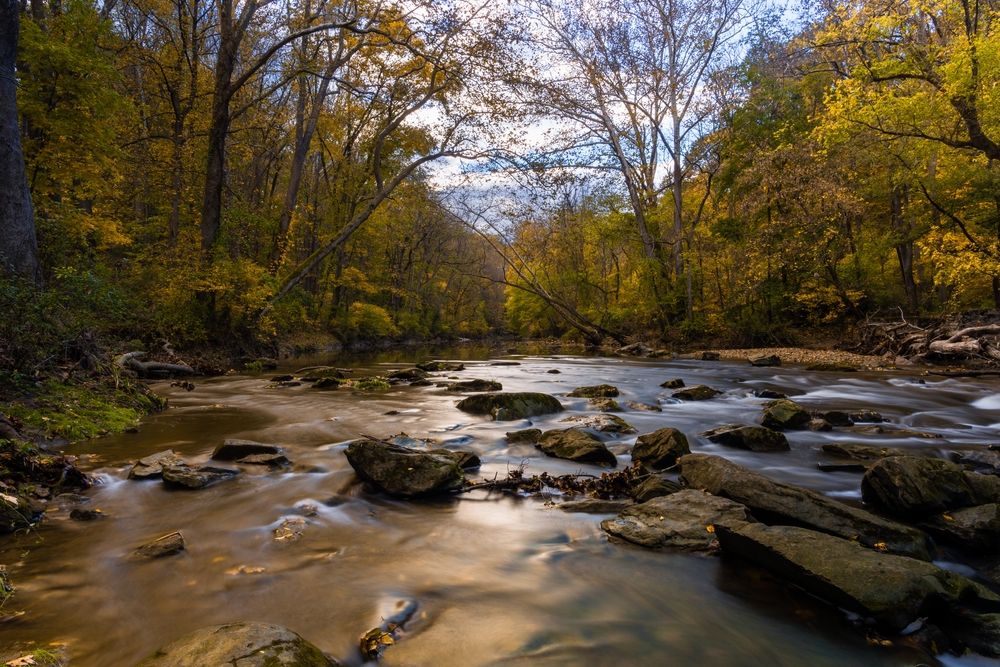 Creek flowing through the forest at White Clay Creek State Park