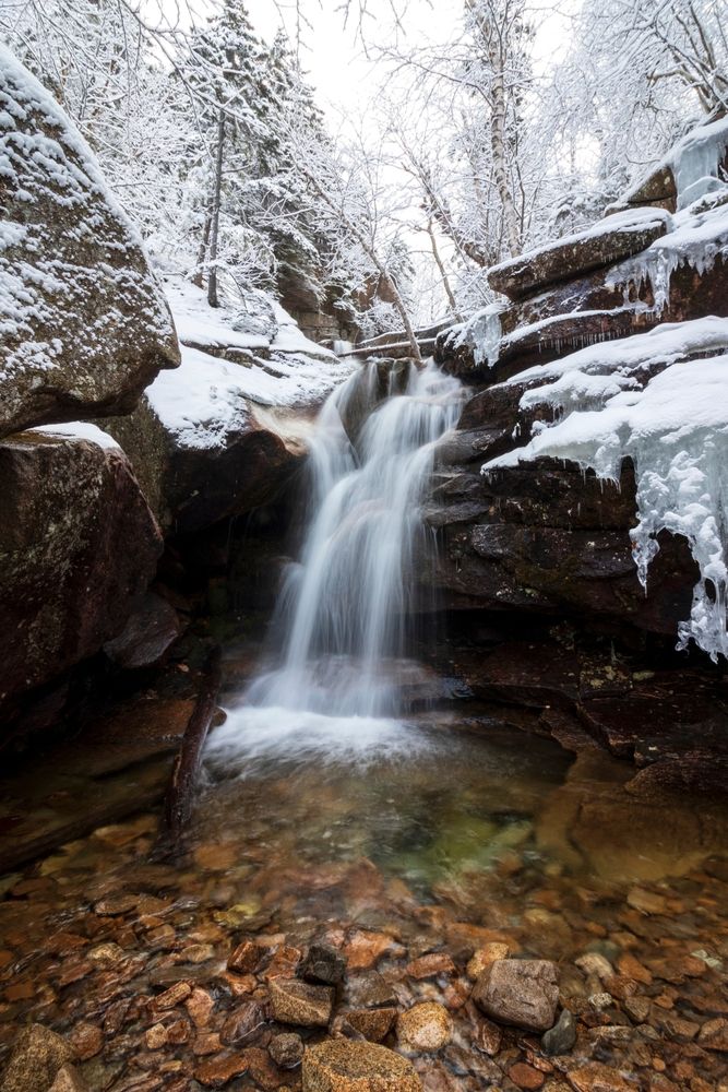 Winter view of White Mountain National Forest