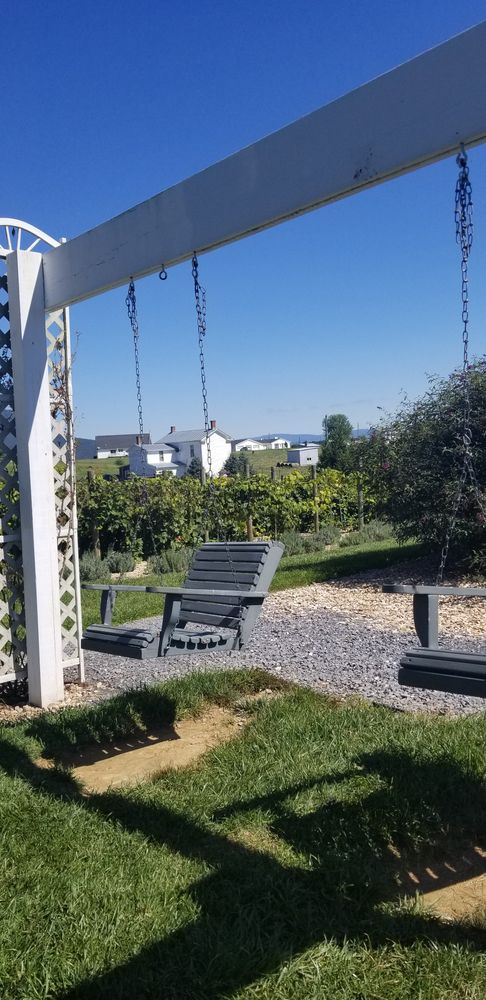 Swing at White Oak Lavender Farm & The Purple WOLF Vineyard