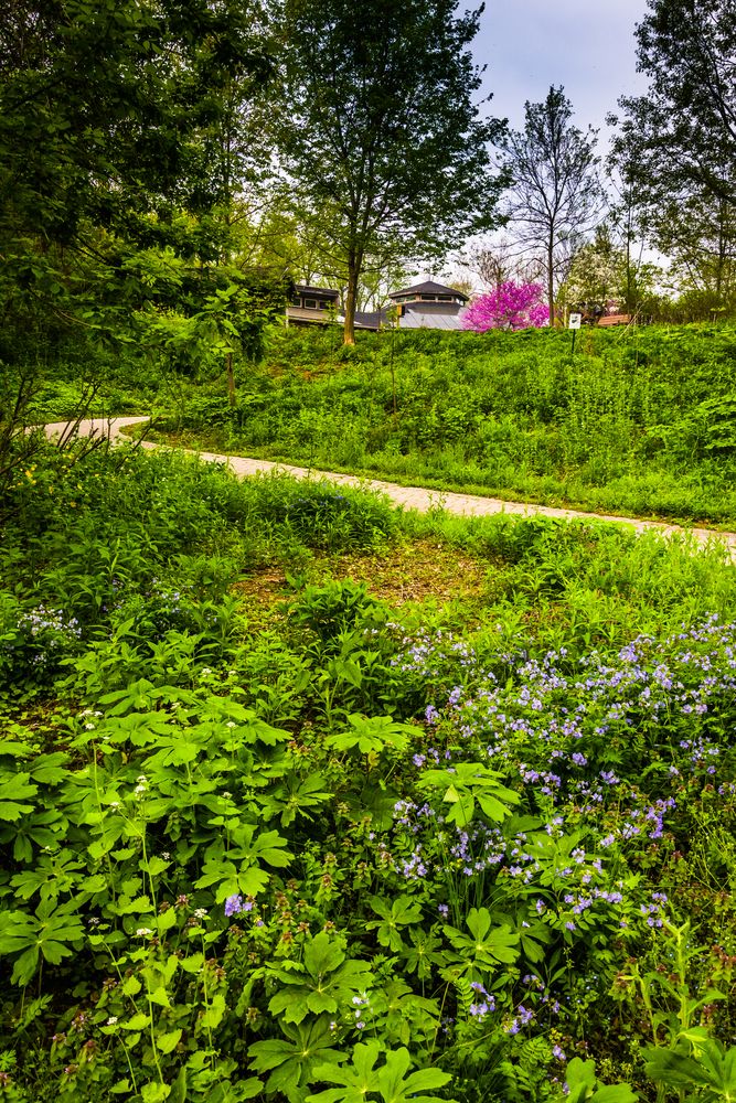 Wildwood Park