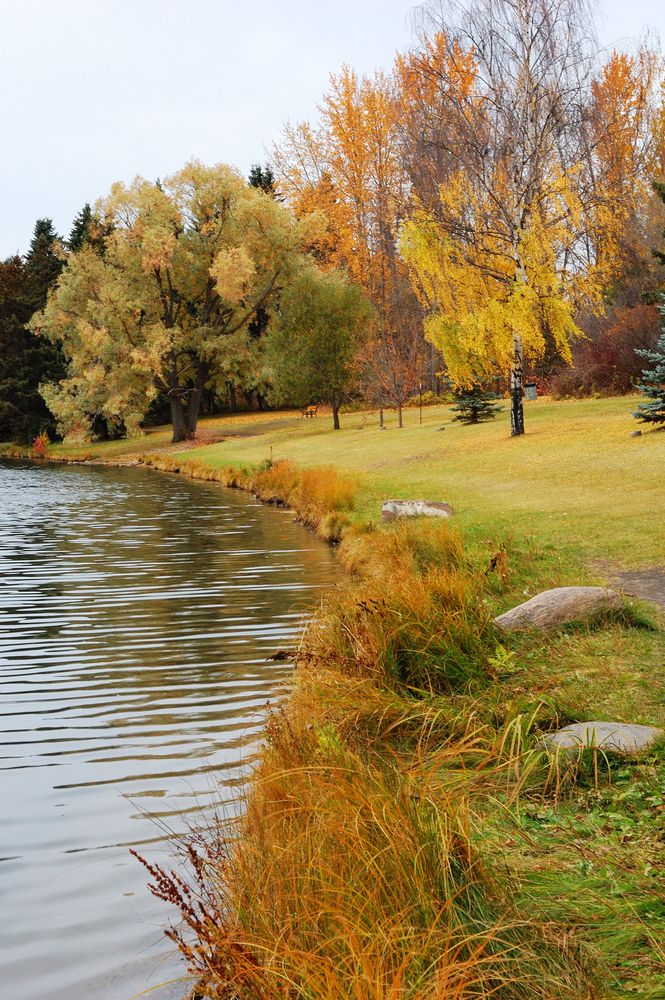 William Hawrelak Park