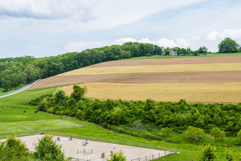 Scenic view of William Kain Park