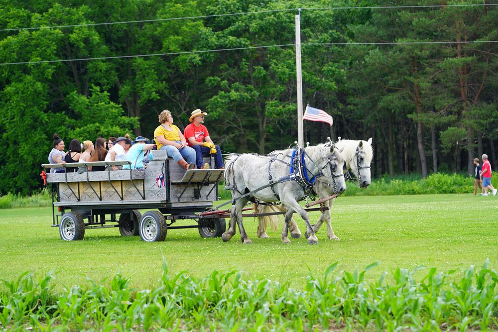 Tourists enjoying the horse cart ride at Willow Springs Garden