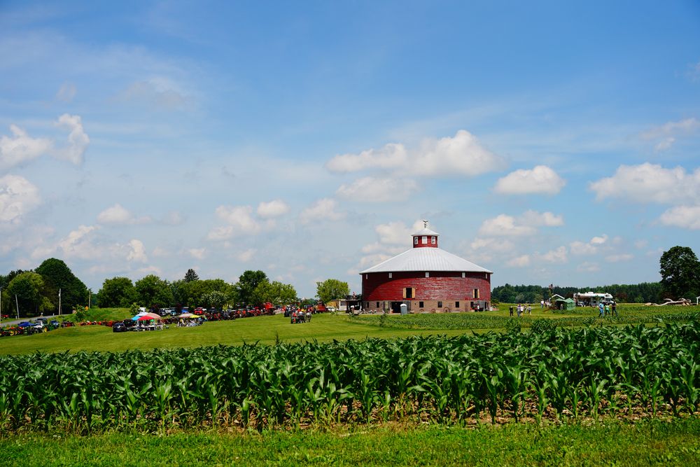 Plants, lawn and a red barn at Willow Springs Garden