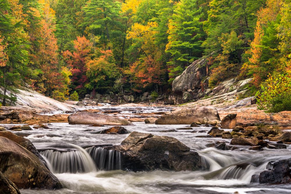 Wilson Creek