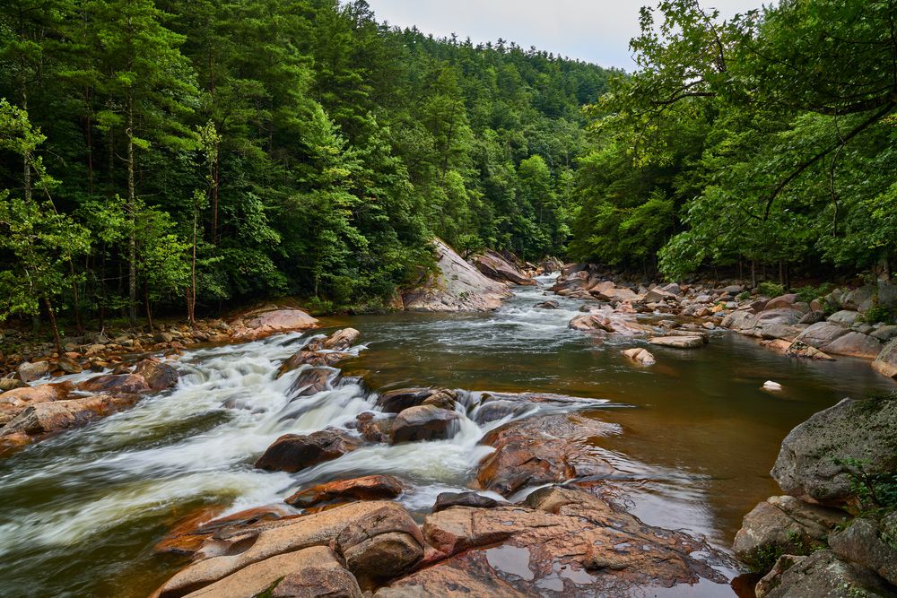 Wilson Creek