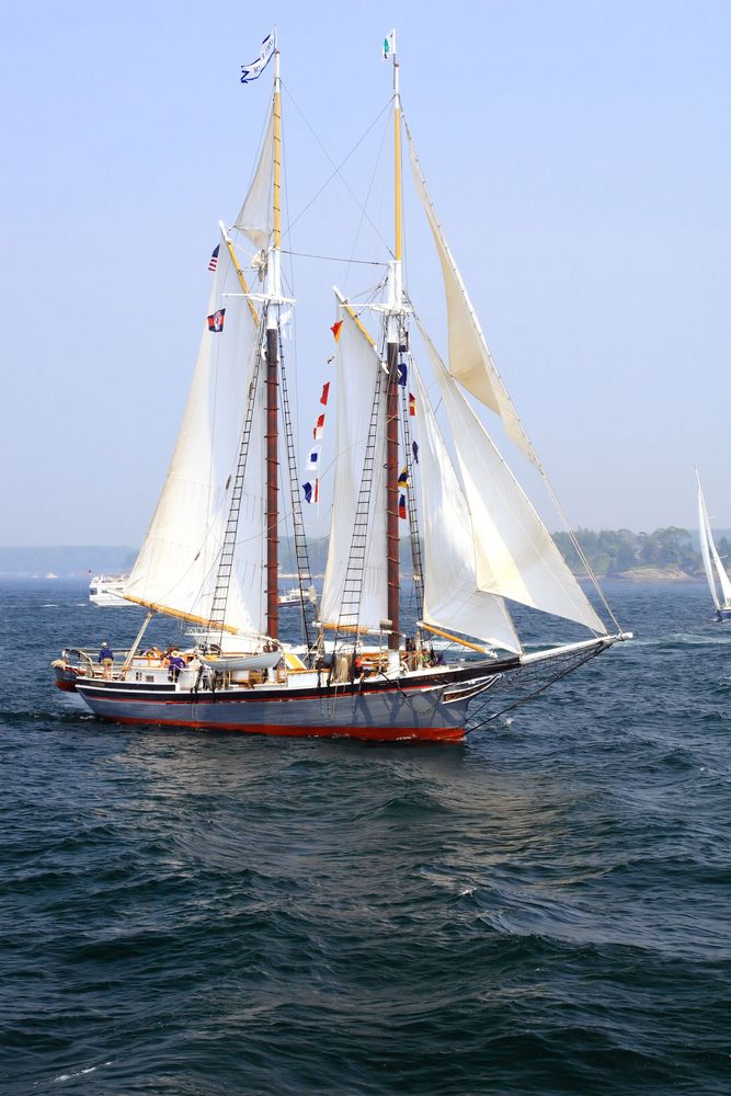 A boat during Windjammer Days