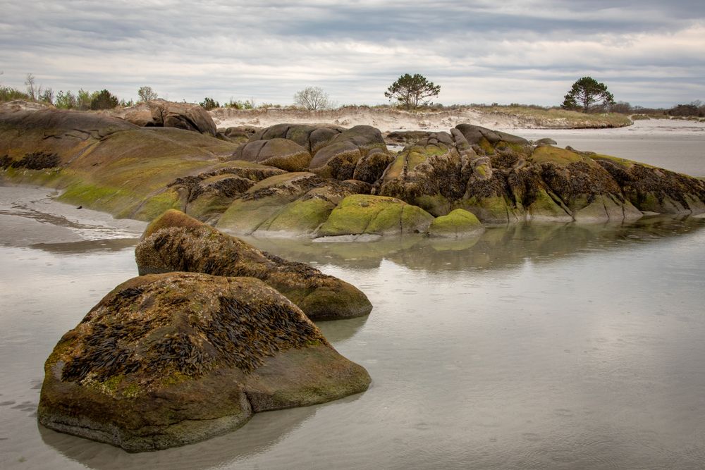 Mouldy rocks at Wingaersheek Beach