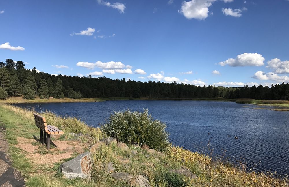 Woodland lake park