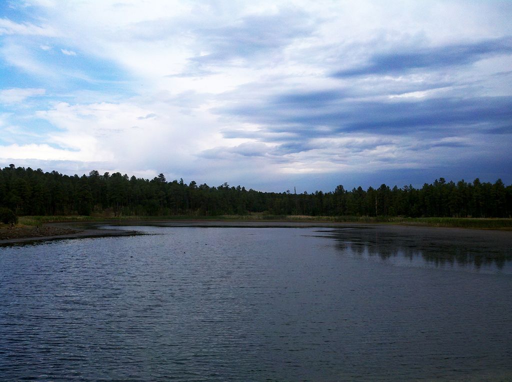 Woodland reservoir