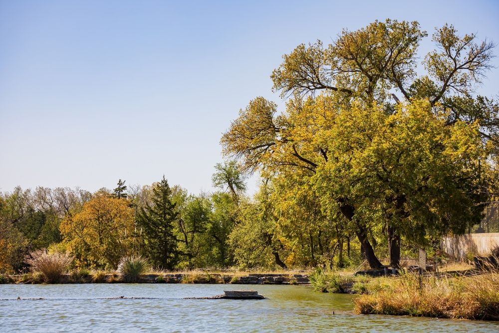The waters of Boiling Springs State Park