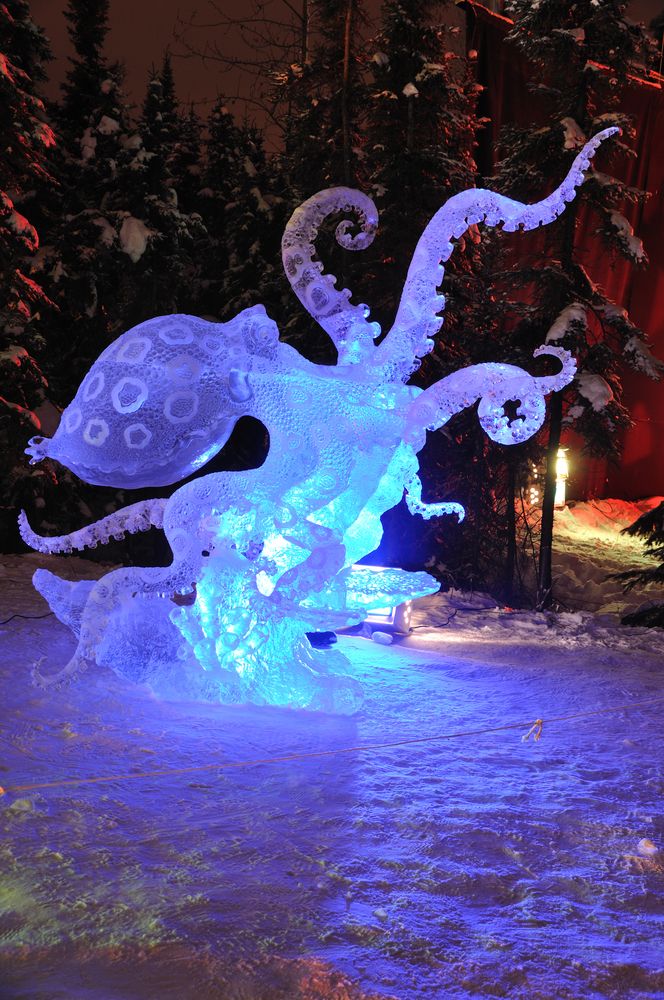 Display at World Ice Art Championship