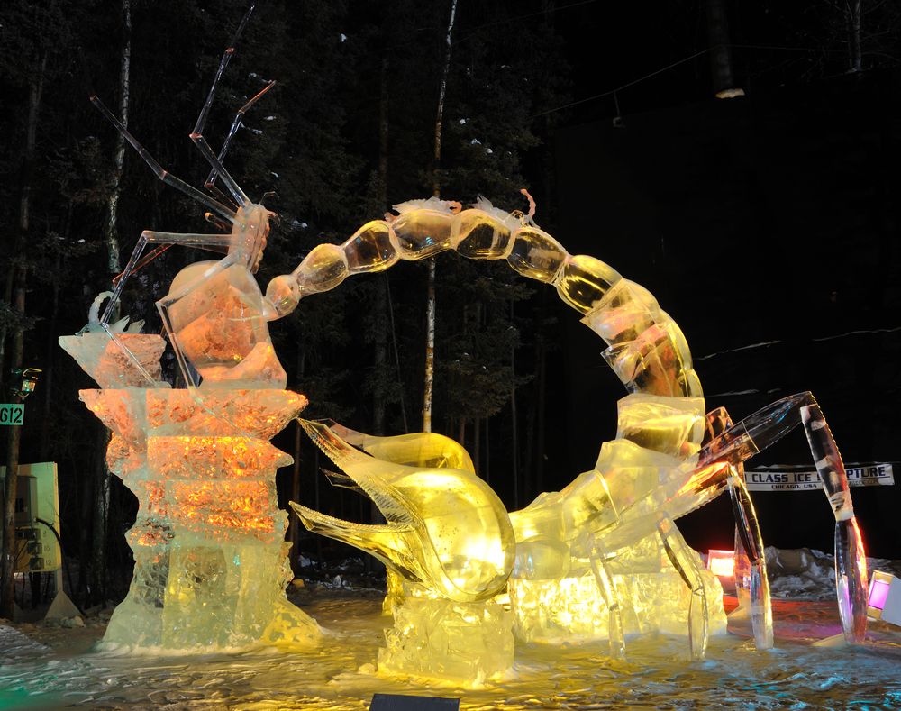 Display at World Ice Art Championship