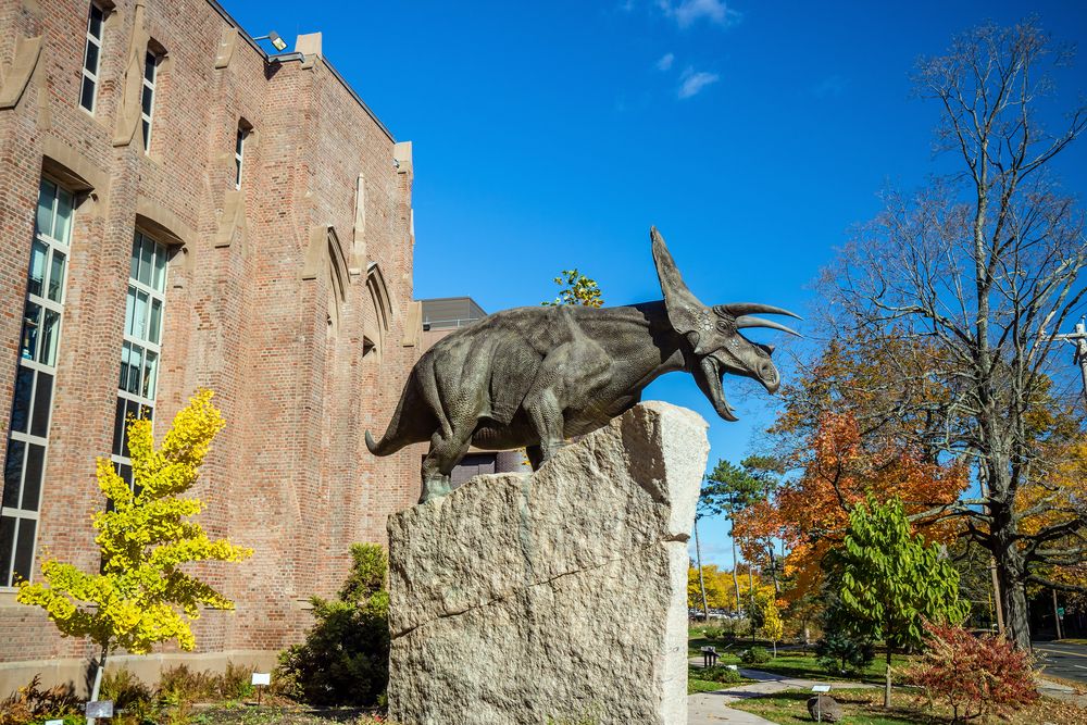 Sculpture outside Yale Peabody Museum of Natural History