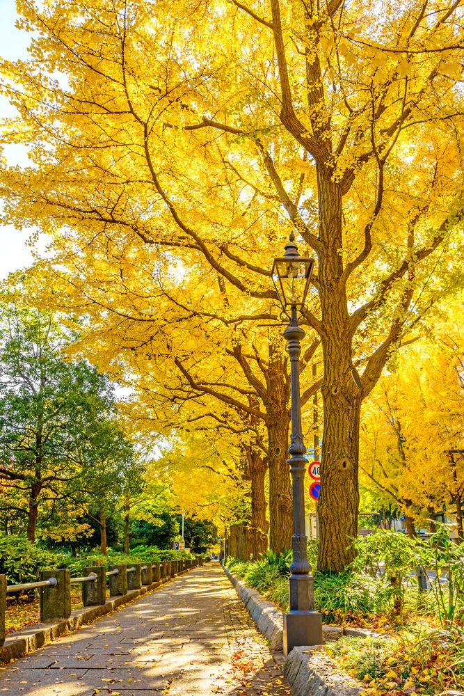 Yamashita Park