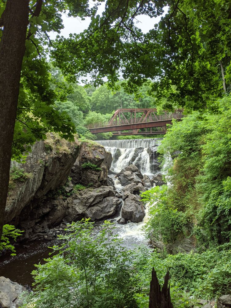 Distant view of Yantic Falls