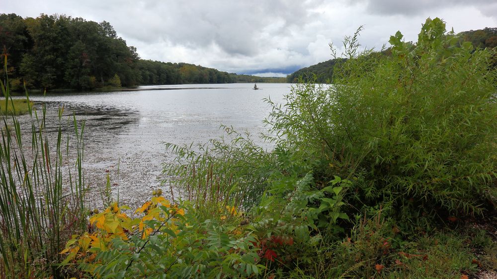 Yellowwood lake in Yellowwood State Forest