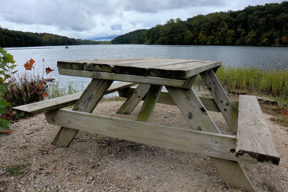 Picnic area at Yellowwood State Forest