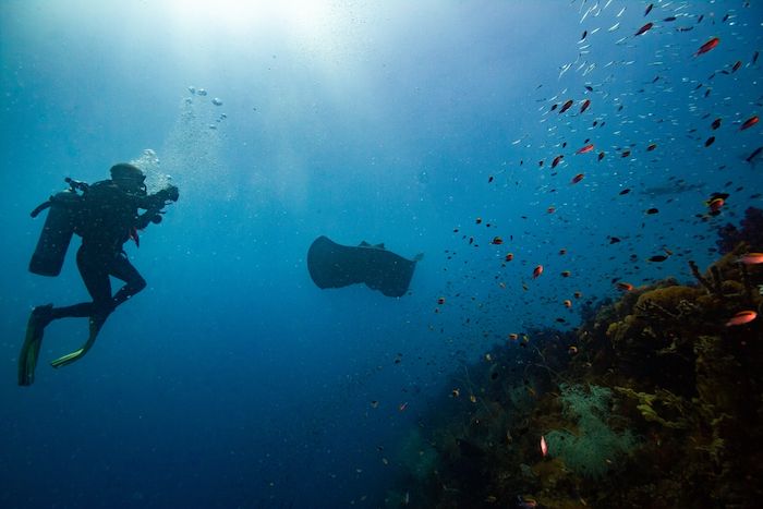 Yongala Wreck