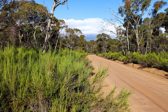 You Yangs in Geelong