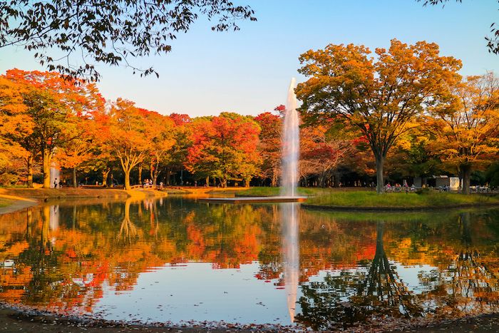 Yoyogi Park in Harajuku