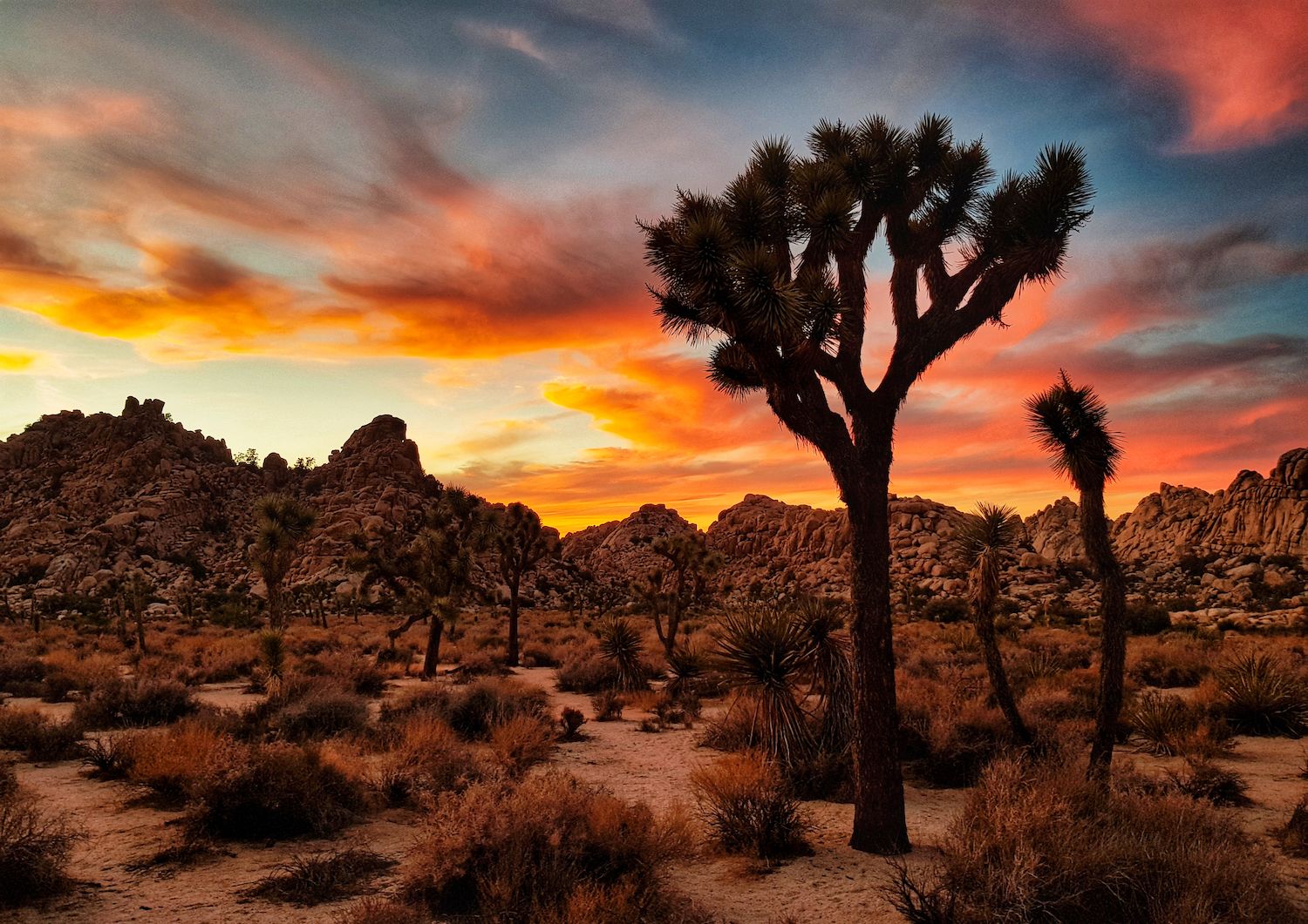 15 Best Things to Do in Yucca Valley, CA Travel Lens