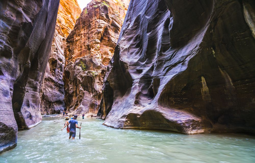 People hiking through the Virgin river in Zion Canyon