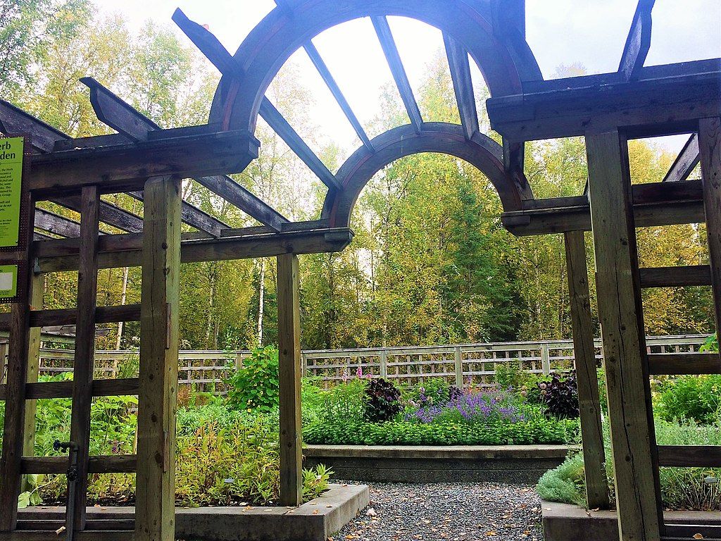 Pergola at Alaska Botanical Garden