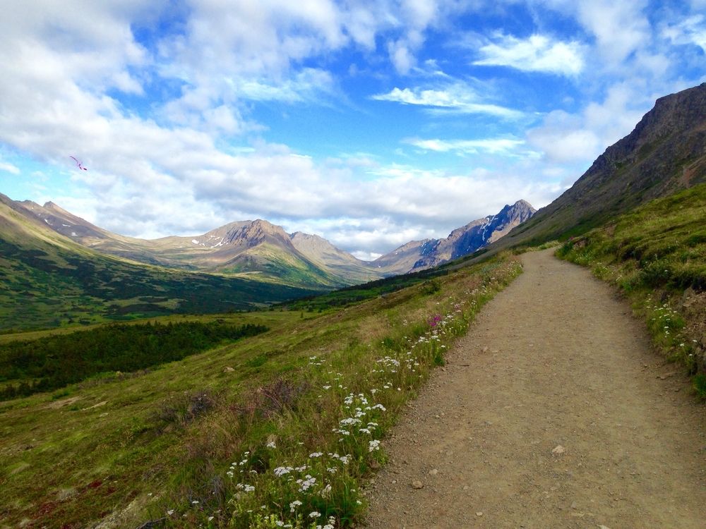 Hiking trail at Flattop Mountain
