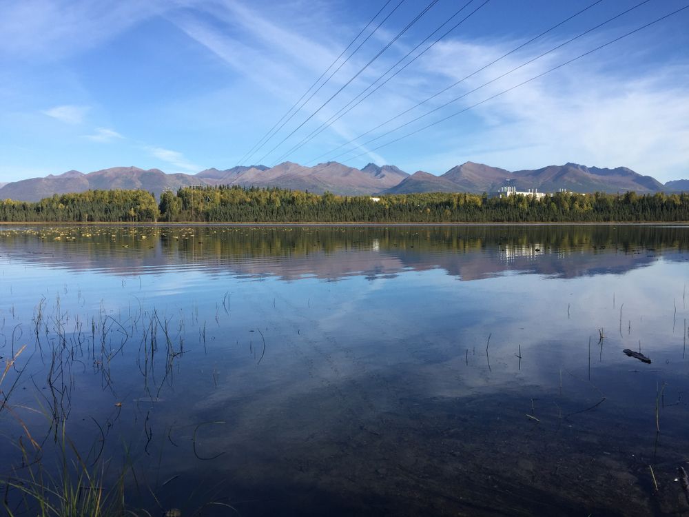 The waters of Goose Lake