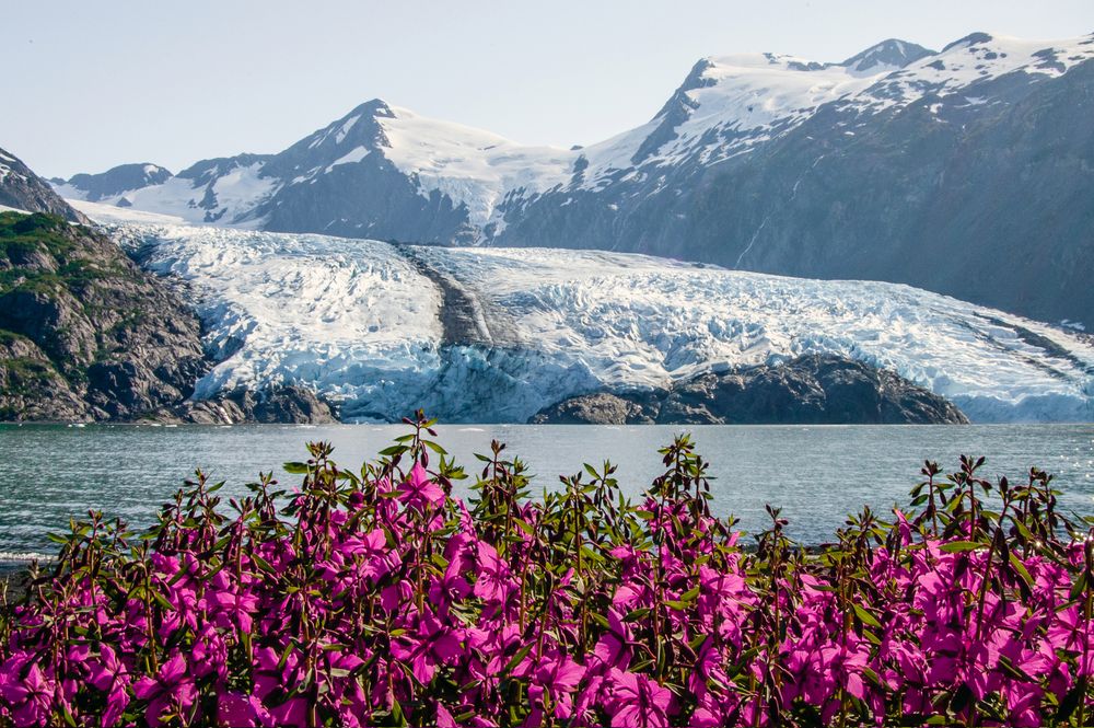 Scenic view of Portage Glacier