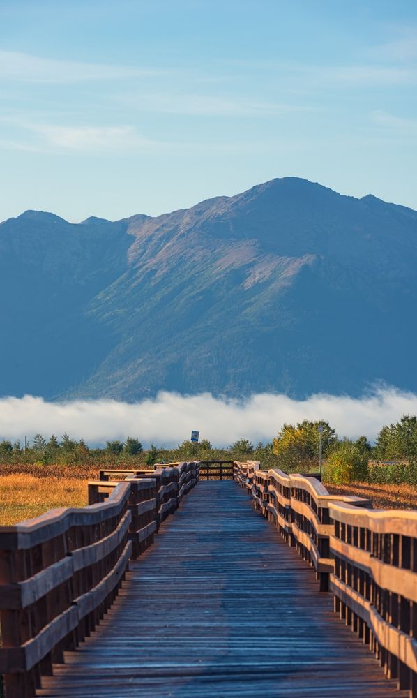 Boardwalk trail at Potter Marsh Bird Sanctuary