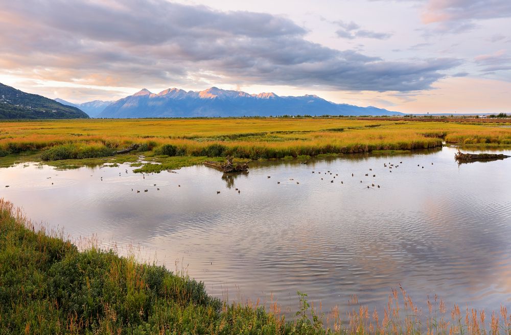 The waters of Potter Marsh Bird Sanctuary