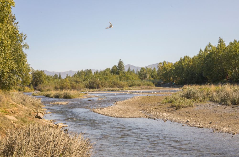 The waters of Ship Creek