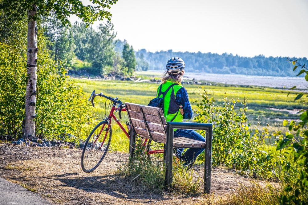A person admiring the views from Tony Knowles Coastal Trail