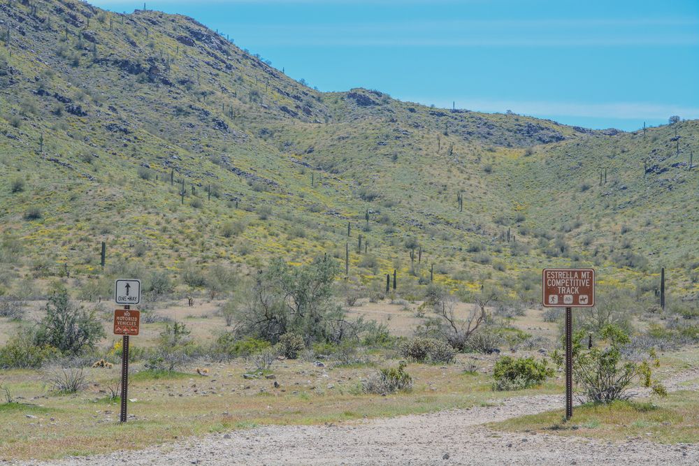 Scenic view of Estrella Mountain Regional Park