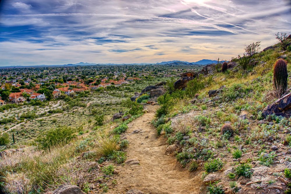 Landscape of South Mountain Park Preserve