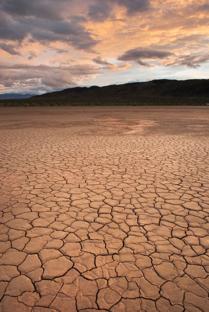 The grounds of Clark Dry Lake
