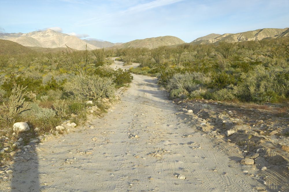 Trail at Coyote Canyon