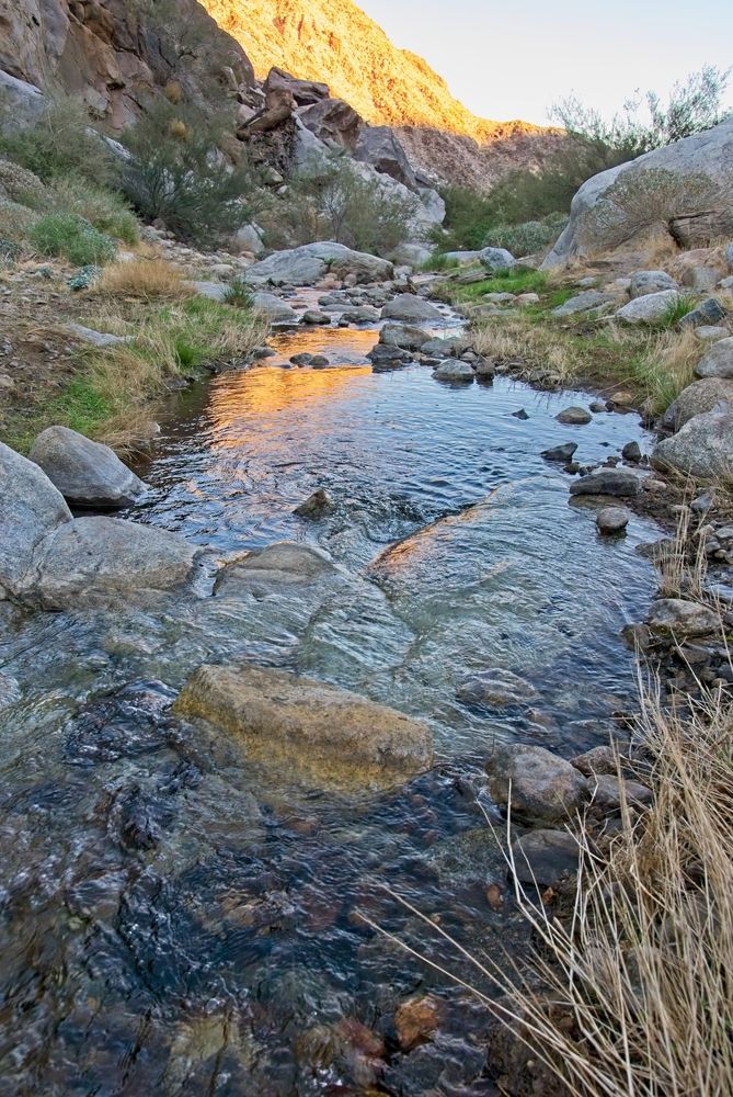 The waters of Palm Canyon Oasis