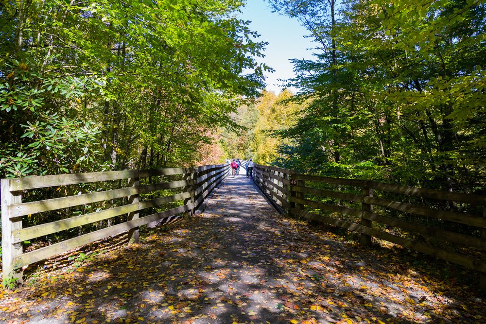 A wooden bridge with trees surrounding it and leaves covering the walkway.